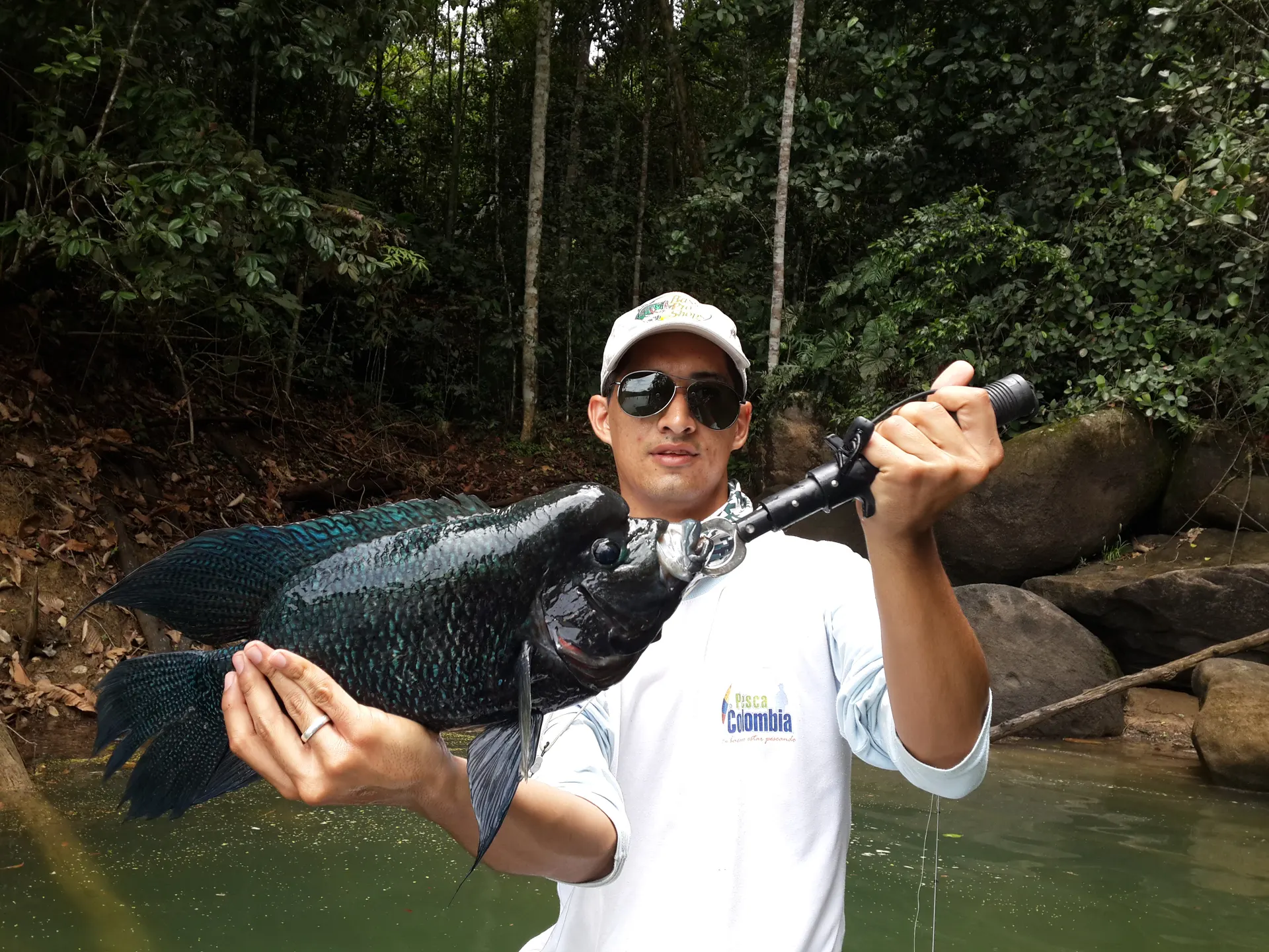 Un pescador con camiseta blanca, gorra y gafas de sol sostiene una mojarra negra grande junto a un río rodeado de selva.