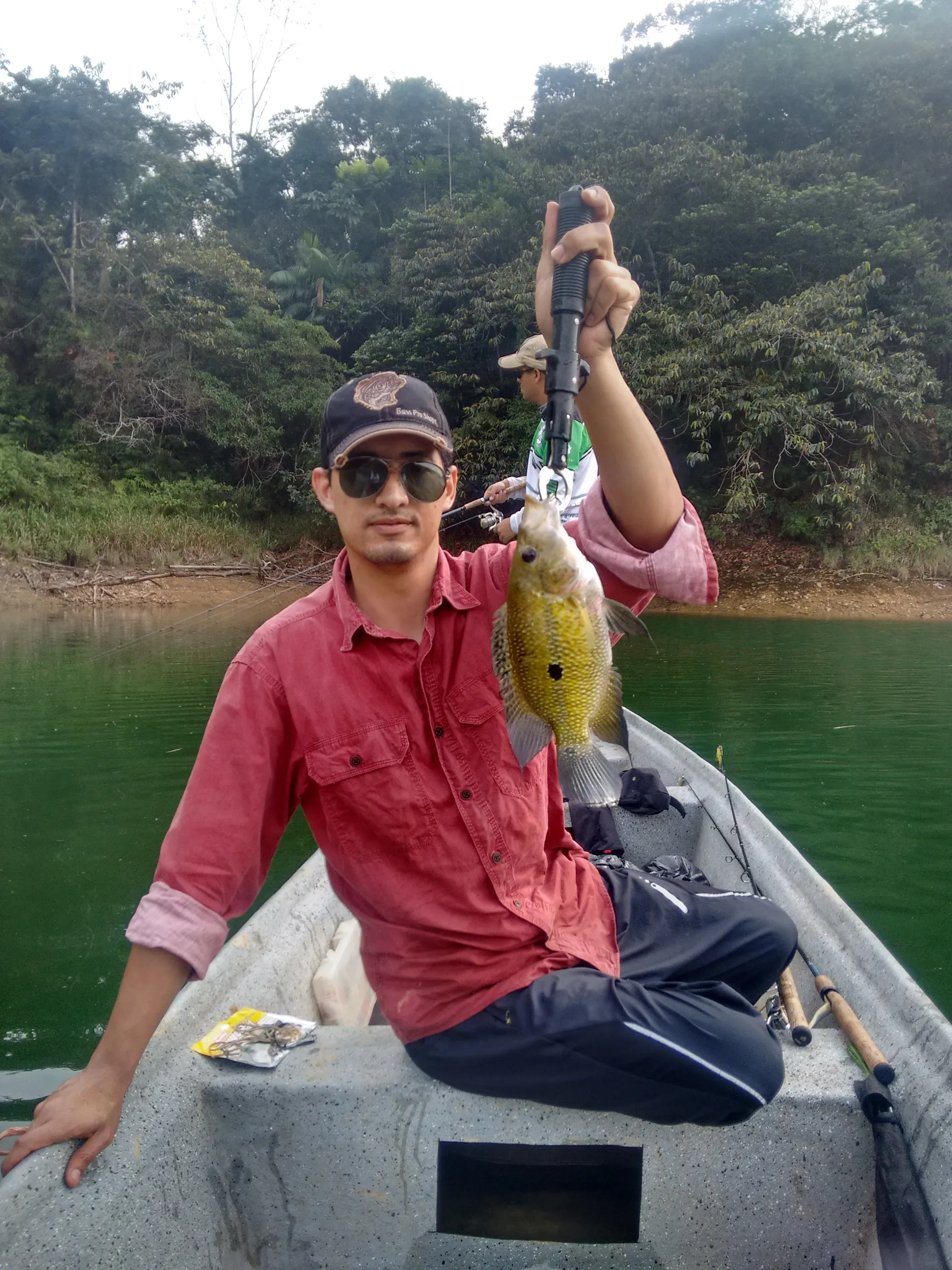 Un pescador con camisa roja sentado en un bote levanta una mojarra amarilla con una pinza; detrás, un compañero pesca de pie frente a la orilla selvática.