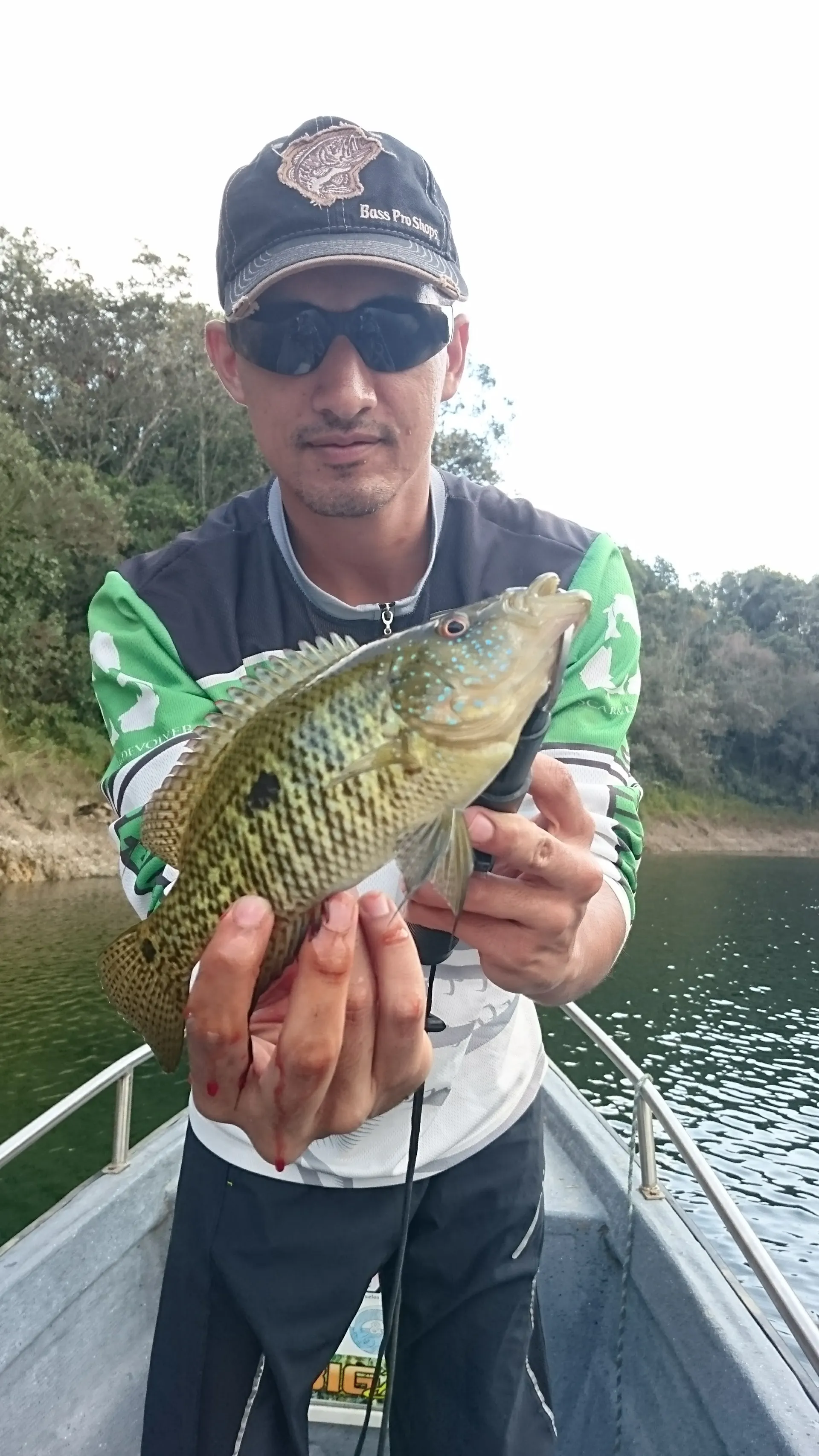 Una mojarra plateada es sostenida con las dos manos junto al bote.