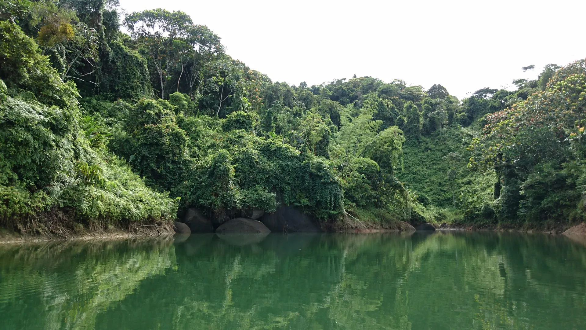 Un brazo de agua verde y quieto encajonado entre laderas de selva muy tupida, con las copas de los árboles reflejadas en la superficie.