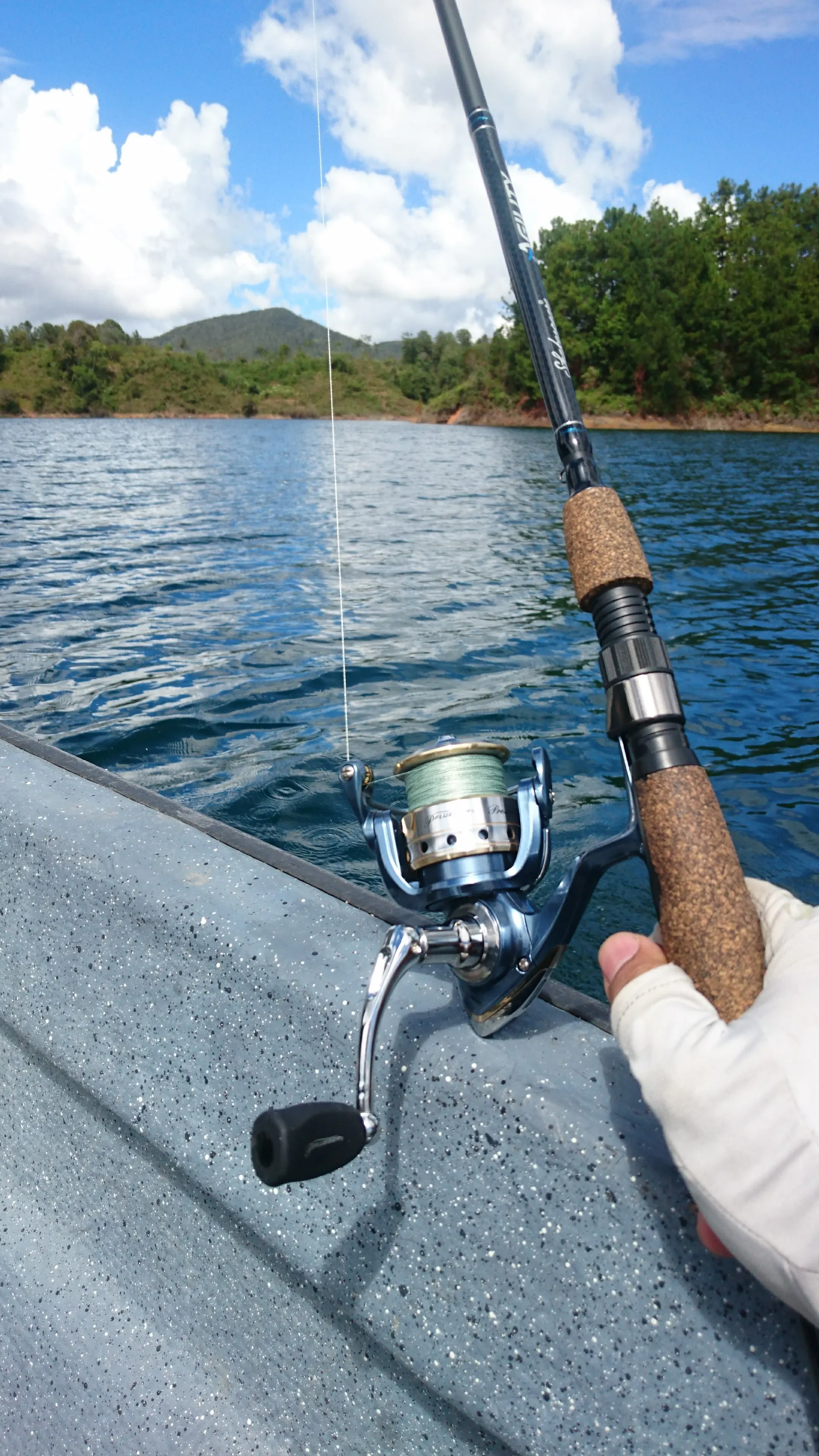 Una mano sostiene una caña de pescar con carrete sobre el borde de un bote, en un embalse azul con colinas verdes al fondo.