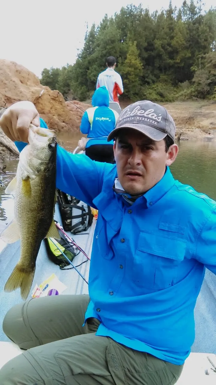 Un pescador con gorra Cabela’s y camisa azul levanta un black bass, con otros dos compañeros pescando detrás en el mismo bote.