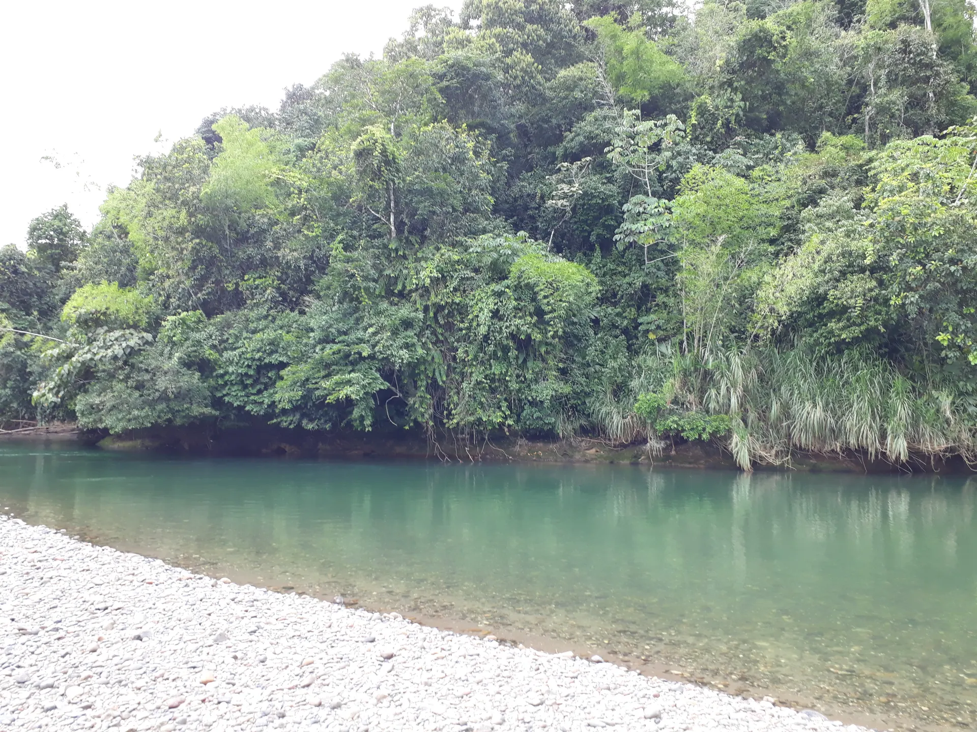 Un pescador lanza su señuelo en el río La Miel bajo el sol del mediodía.
