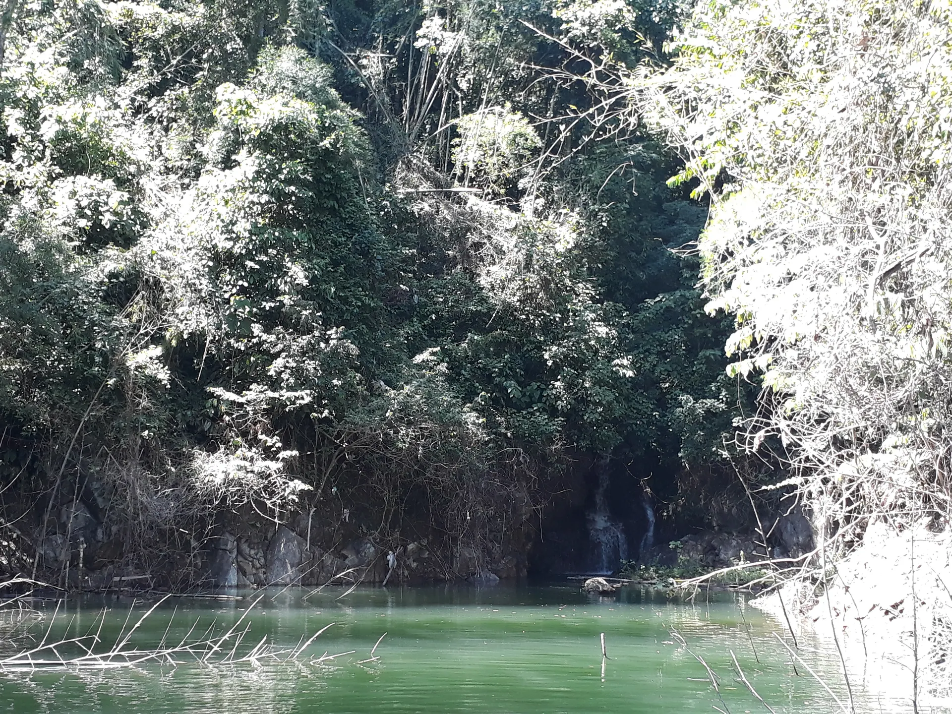 Un pescador en el amanecer levanta un tucunare dorado de tamaño mediano en la proa del bote, frente al embalse de Amaní.