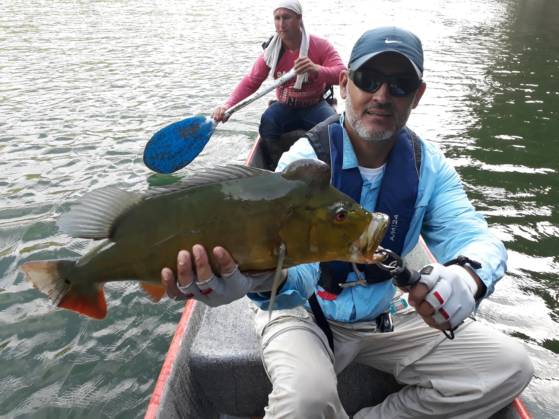 Un pescador libera un tucunare de vuelta al agua del embalse tras la pelea.