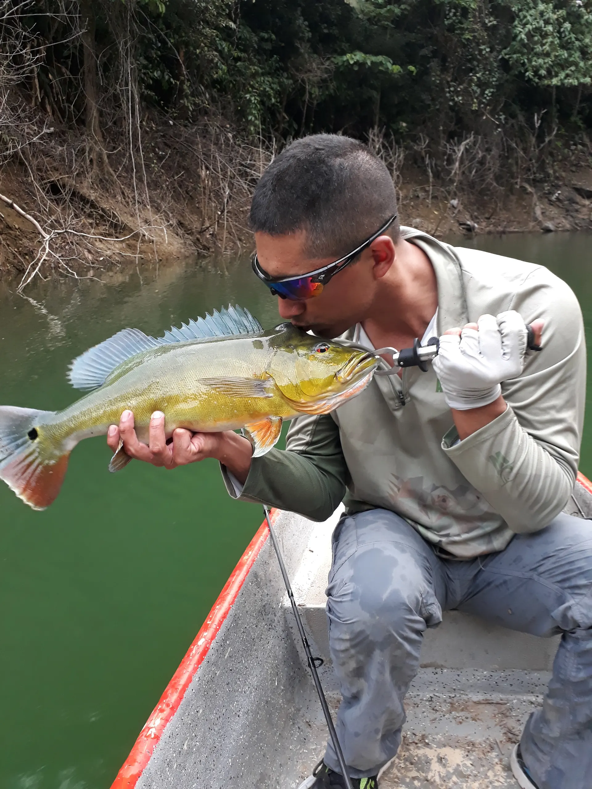 Un pescador sentado en el borde de un bote le da un beso a un pavón dorado y anaranjado antes de devolverlo al agua.