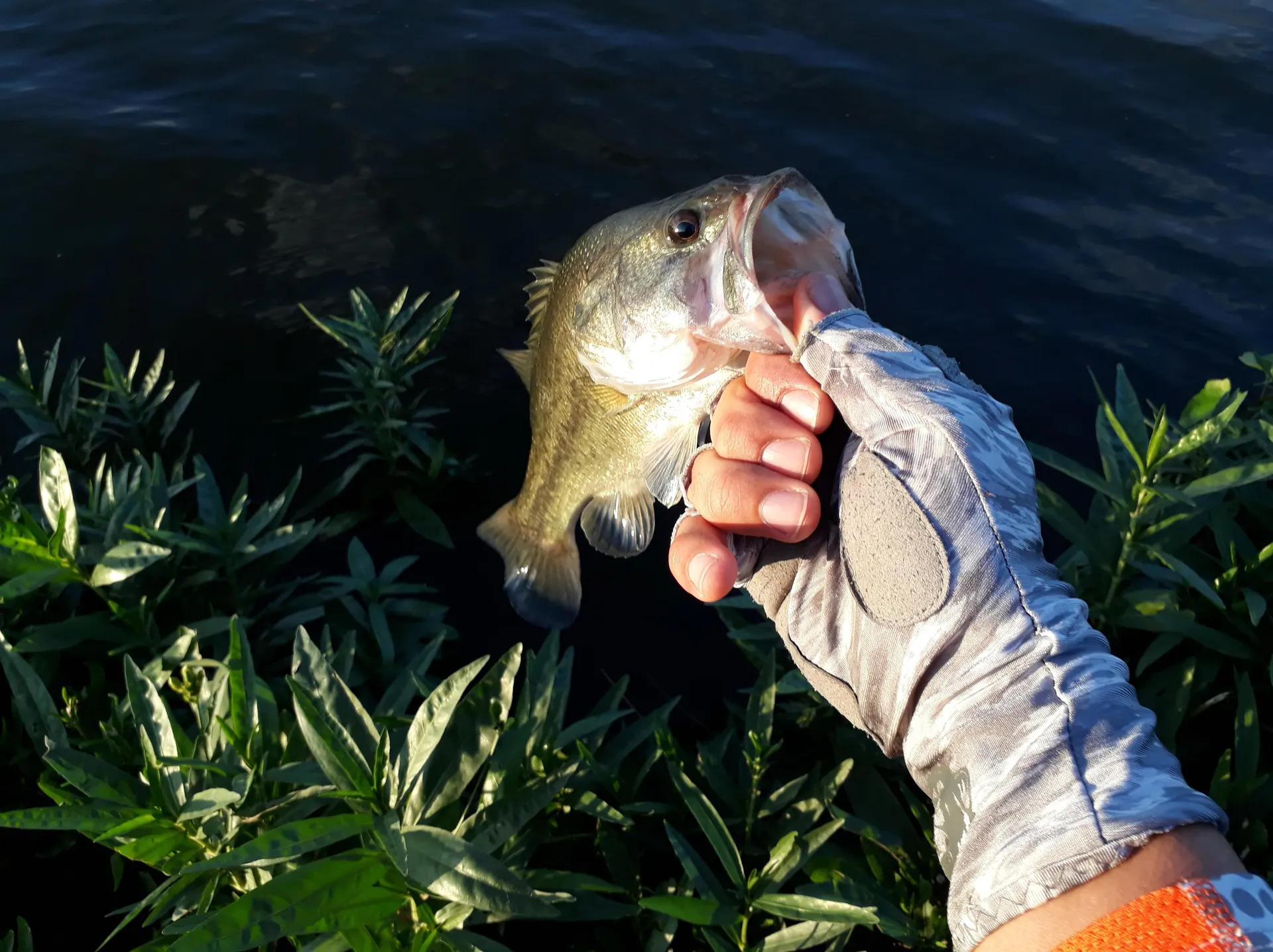 Un pescador explora la orilla de uno de los lagos de Dallas antes del amanecer.