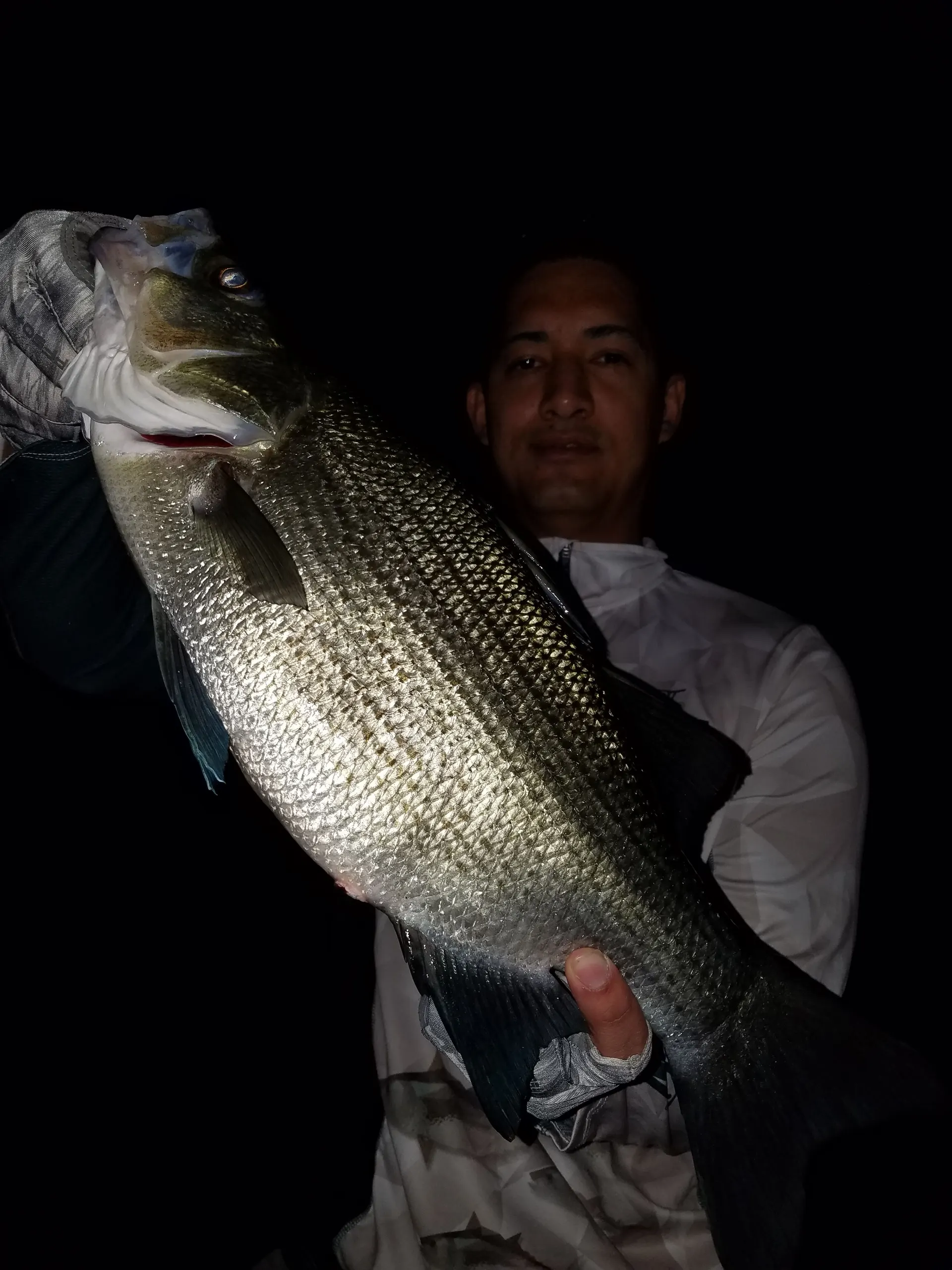 Un black bass grande es levantado del agua de Lake Fork en plena madrugada.