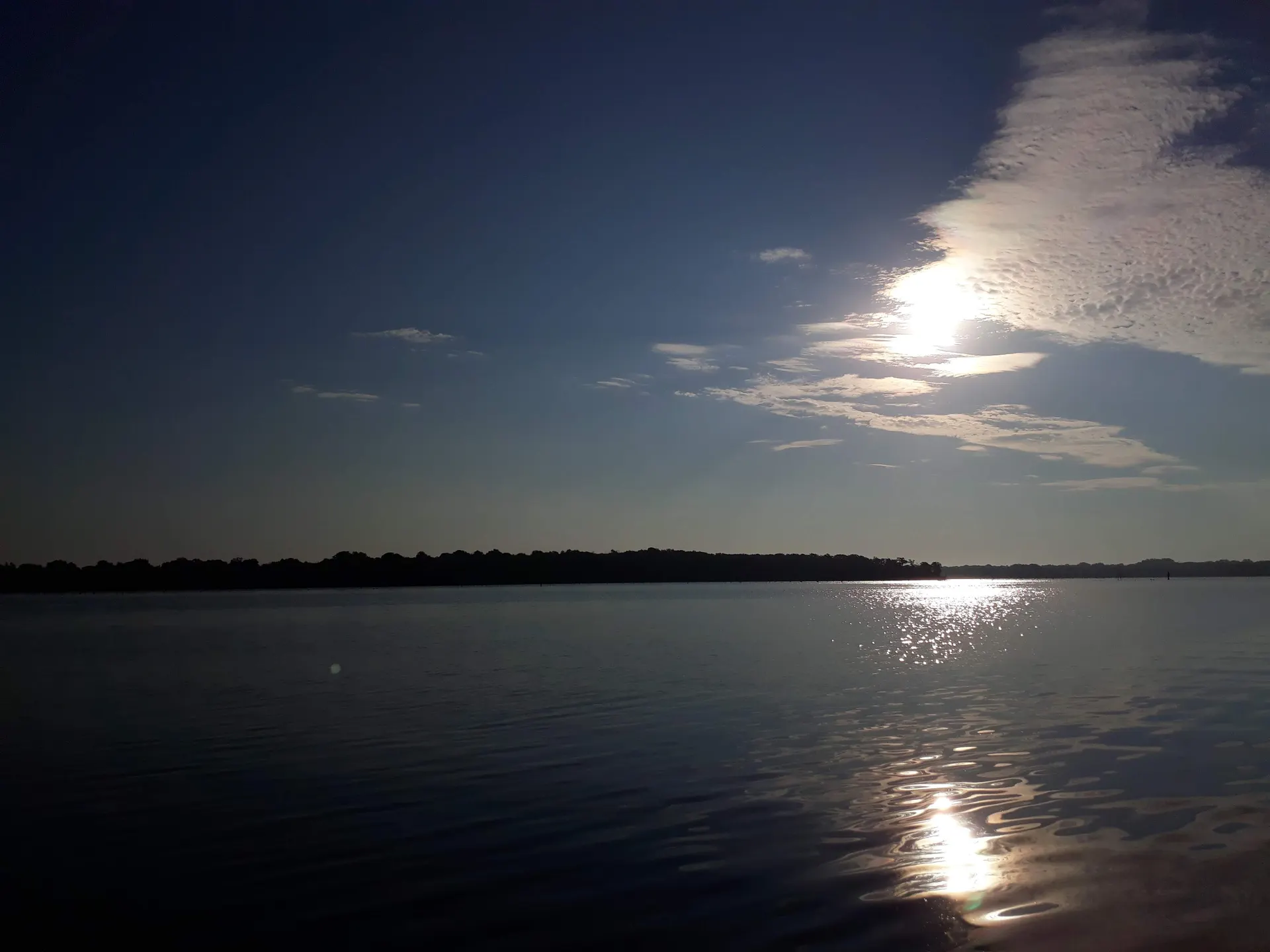 Árboles muertos sumergidos sobresalen del agua de Lake Fork bajo el sol de la mañana.