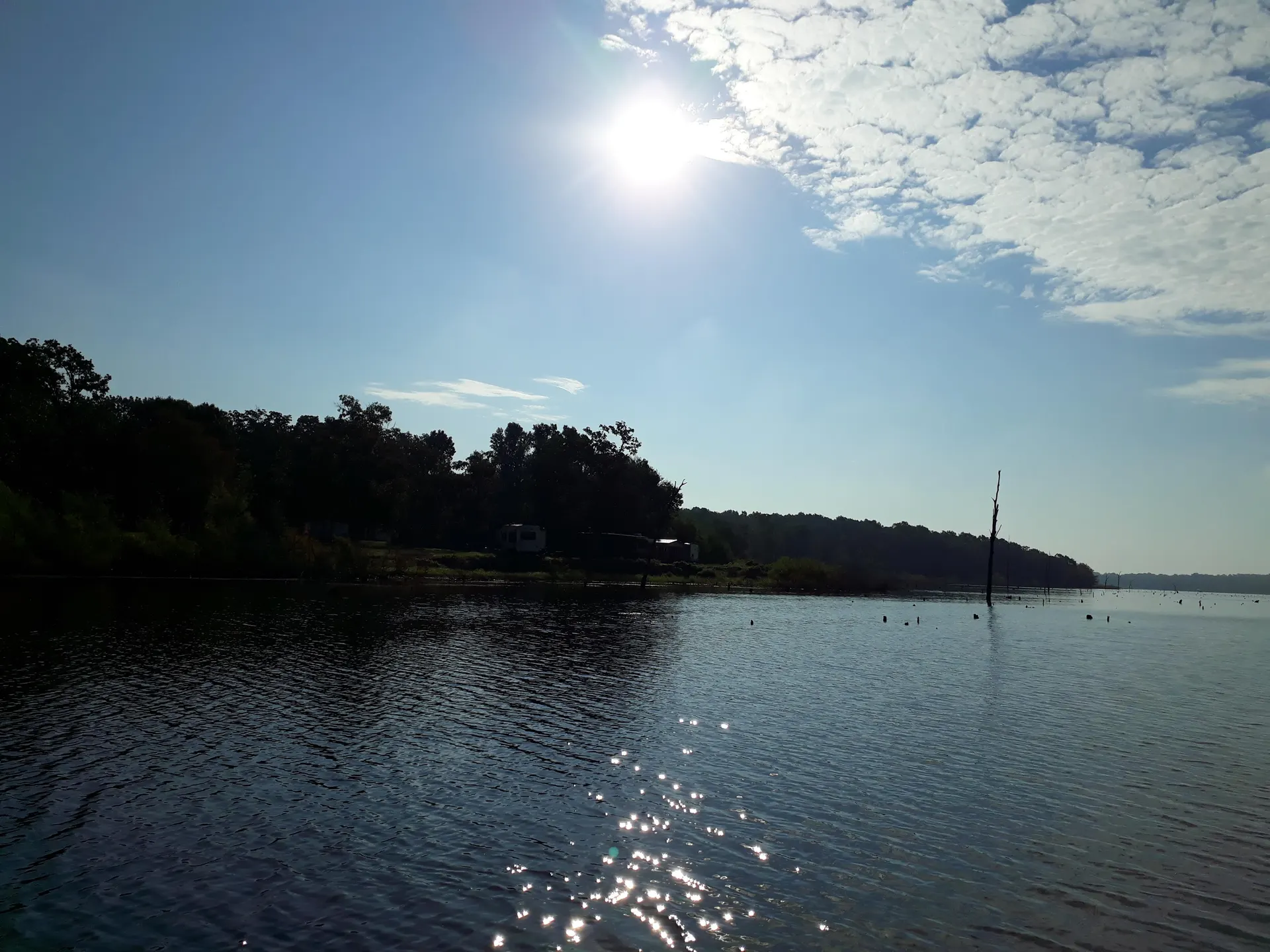 Un pescador lanza su caña hacia la estructura de árboles sumergidos en Lake Fork.