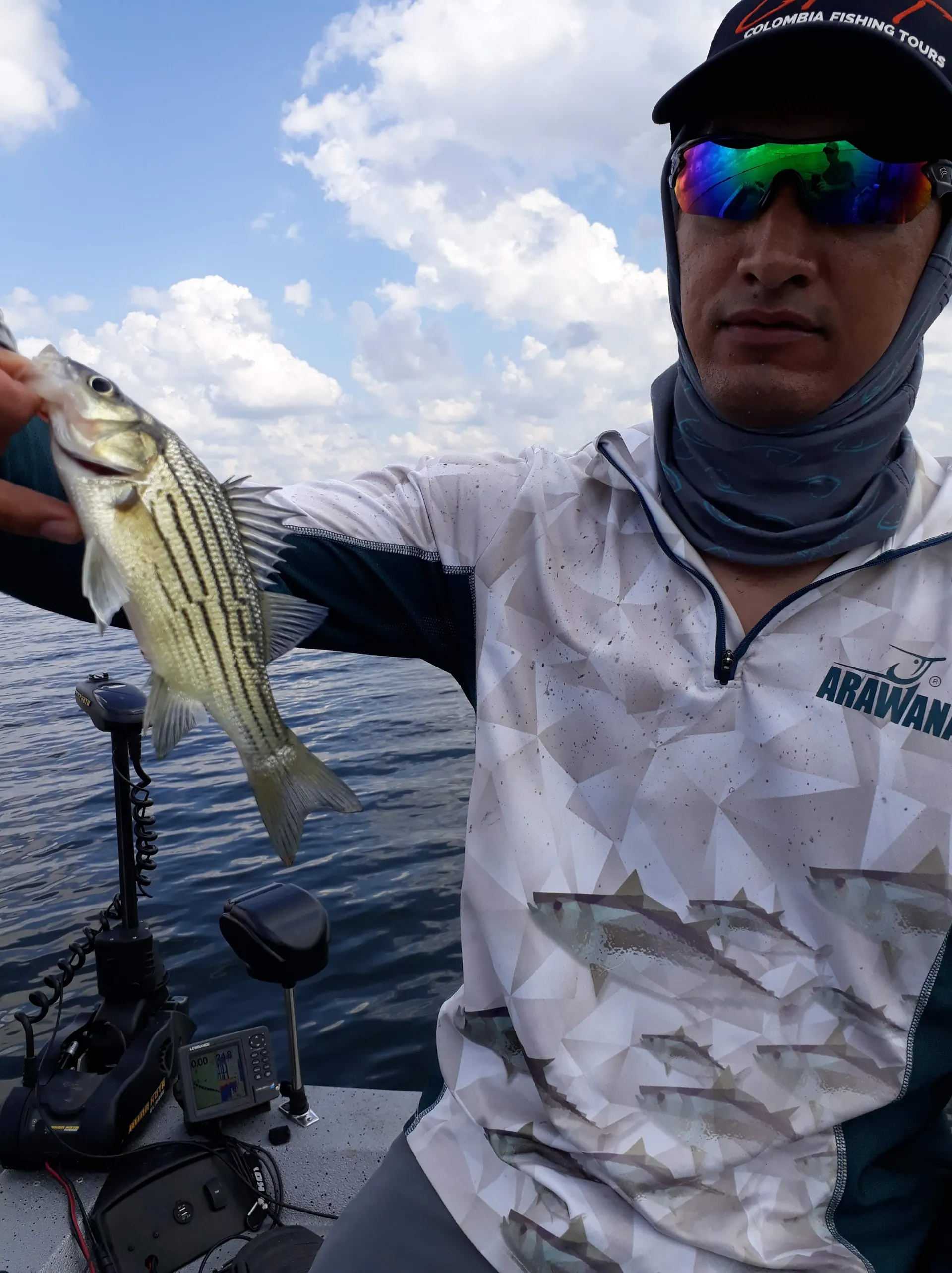 Un black bass mediano es levantado del agua bajo el sol de la mañana.