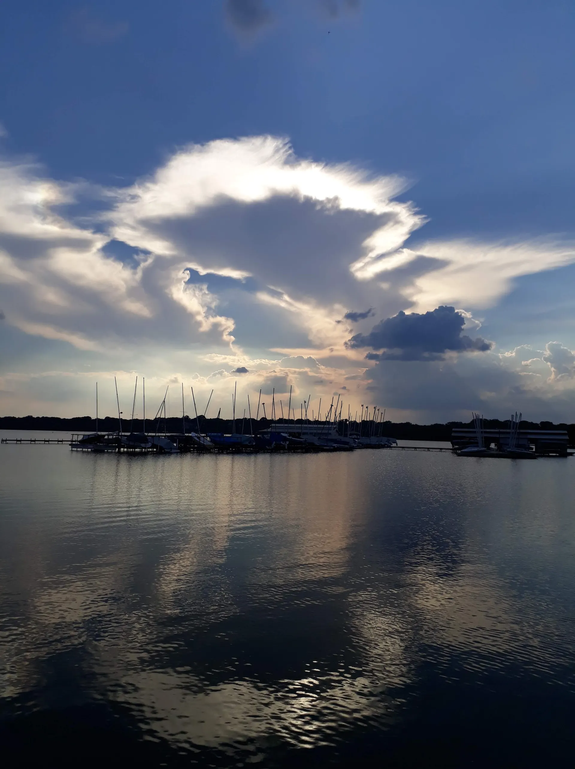El paisaje de Lake Fork al atardecer con el bote navegando entre árboles sumergidos.