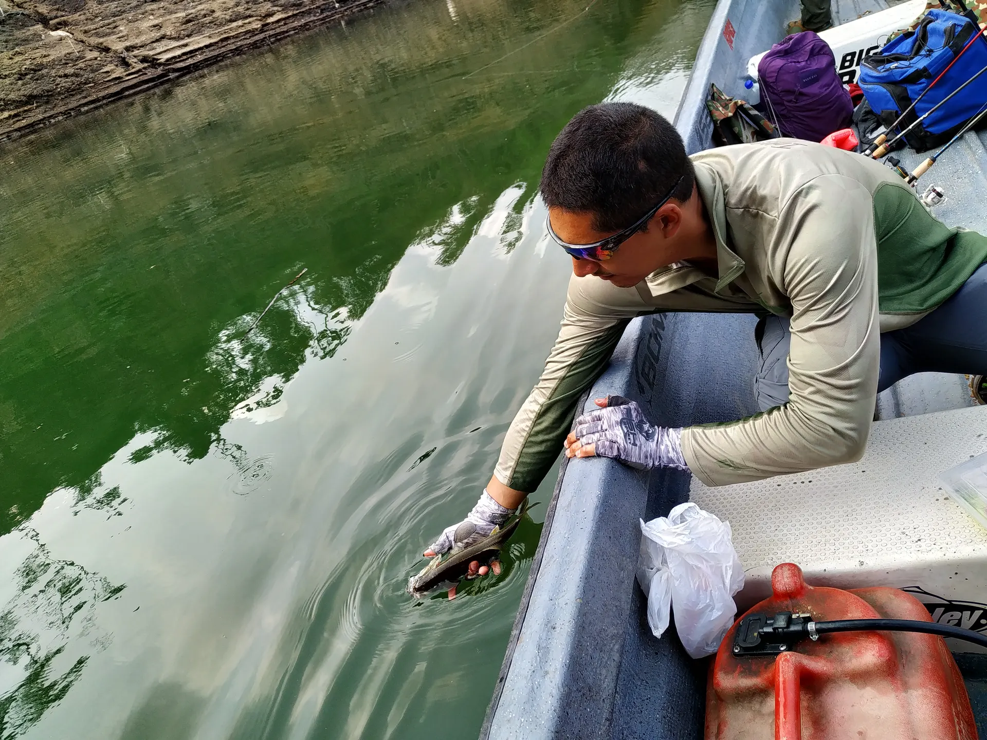 Un pescador se asoma por el borde del bote y devuelve con cuidado un pez al agua verde del embalse.