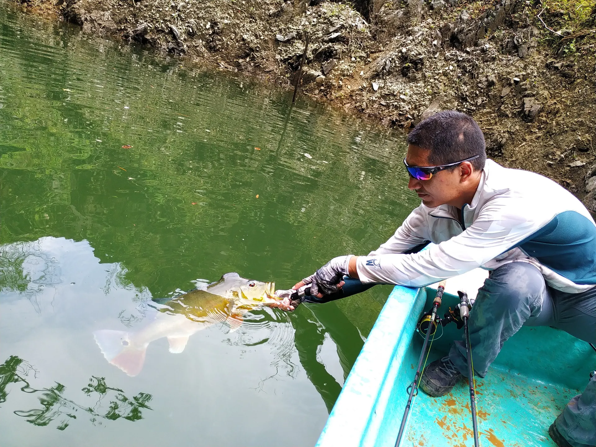 Un pescador arrodillado en la proa del bote devuelve un pavón al agua verde, junto a una pared rocosa.