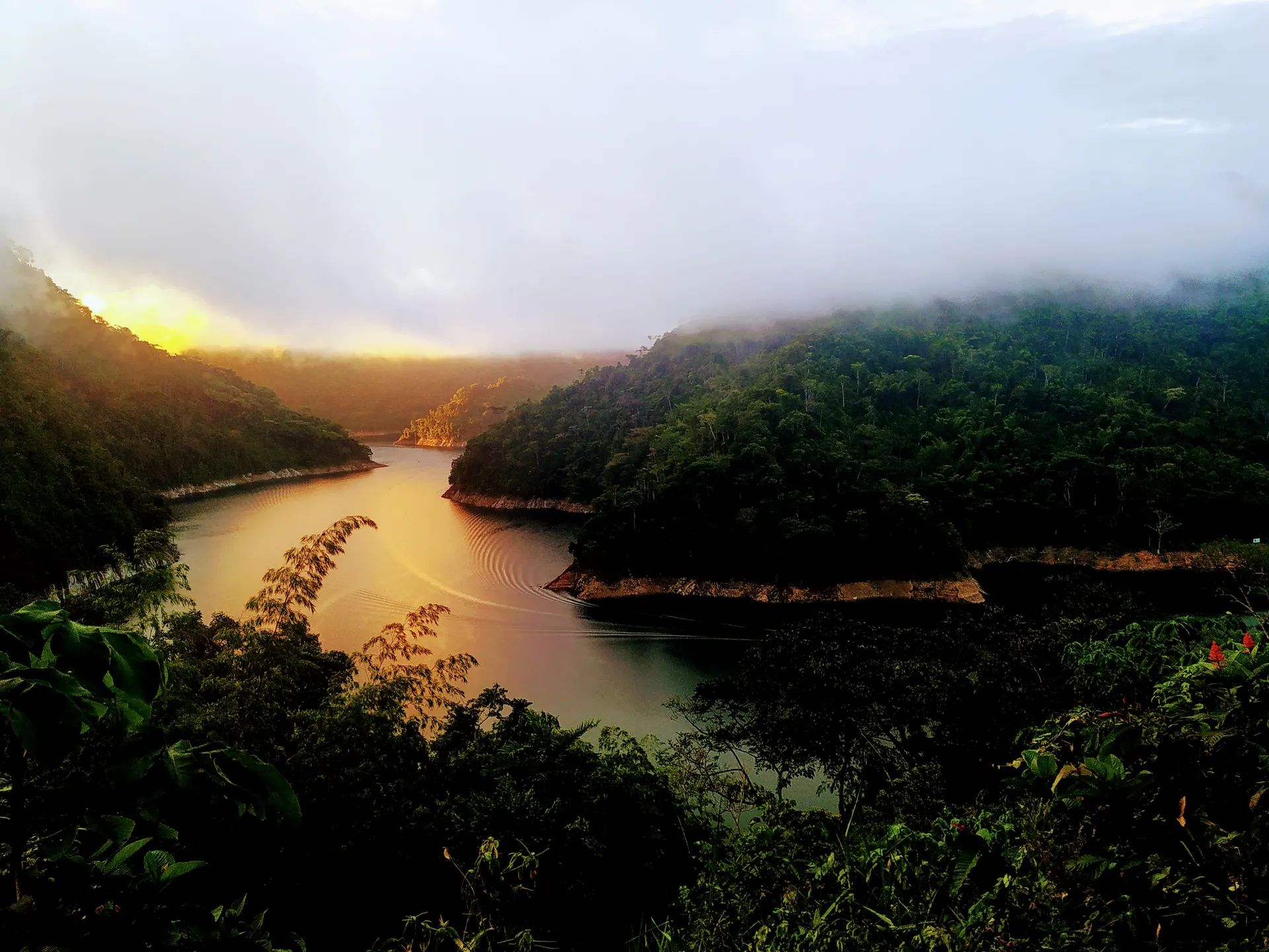 Amanecer sobre un embalse encajonado entre montañas de selva, con la niebla bajando y el agua teñida de dorado por el sol.