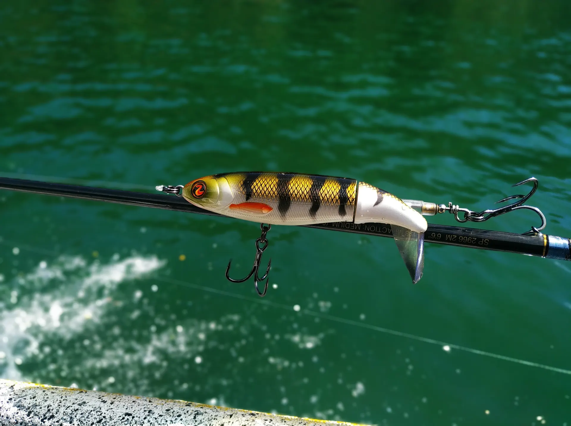 Primer plano de un señuelo de pesca rayado en negro y dorado, con anzuelos triples, colgando de la punta de una caña sobre el agua verde.