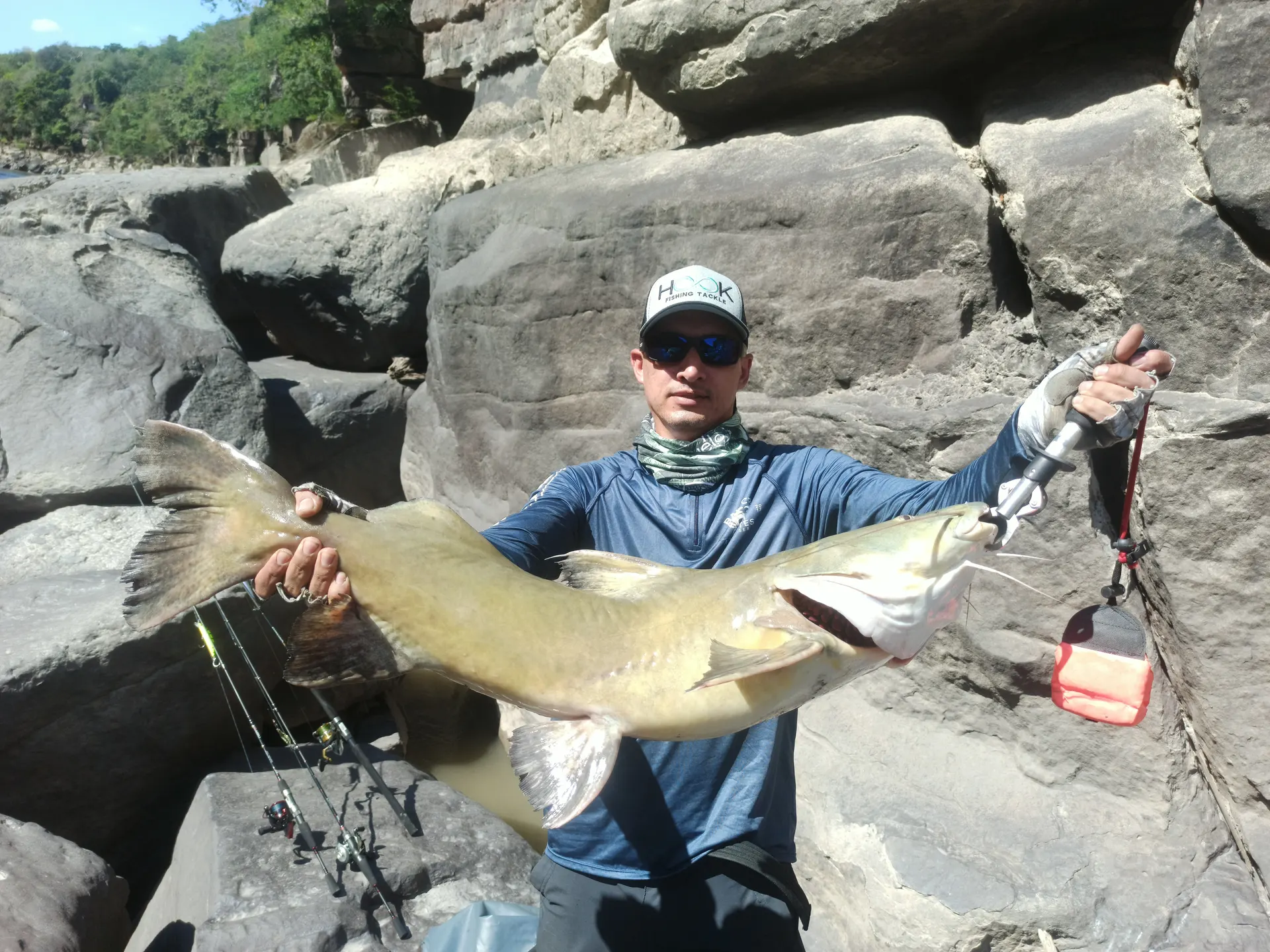 Un pescador levanta un bagre amarillo de buen tamaño sobre la canoa.