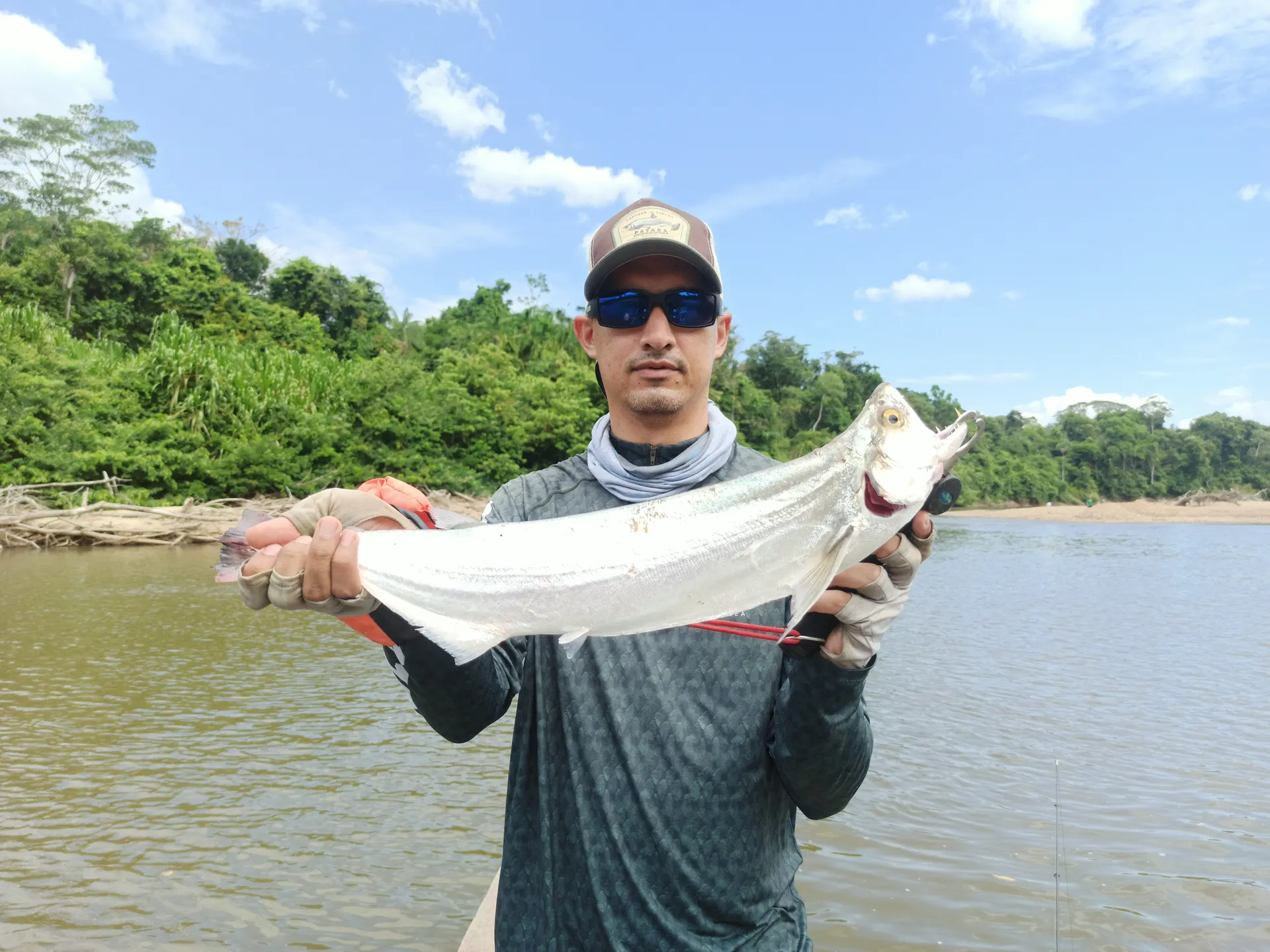 Un pescador sostiene una payara capturada con señuelo artificial en el río Guayabero.