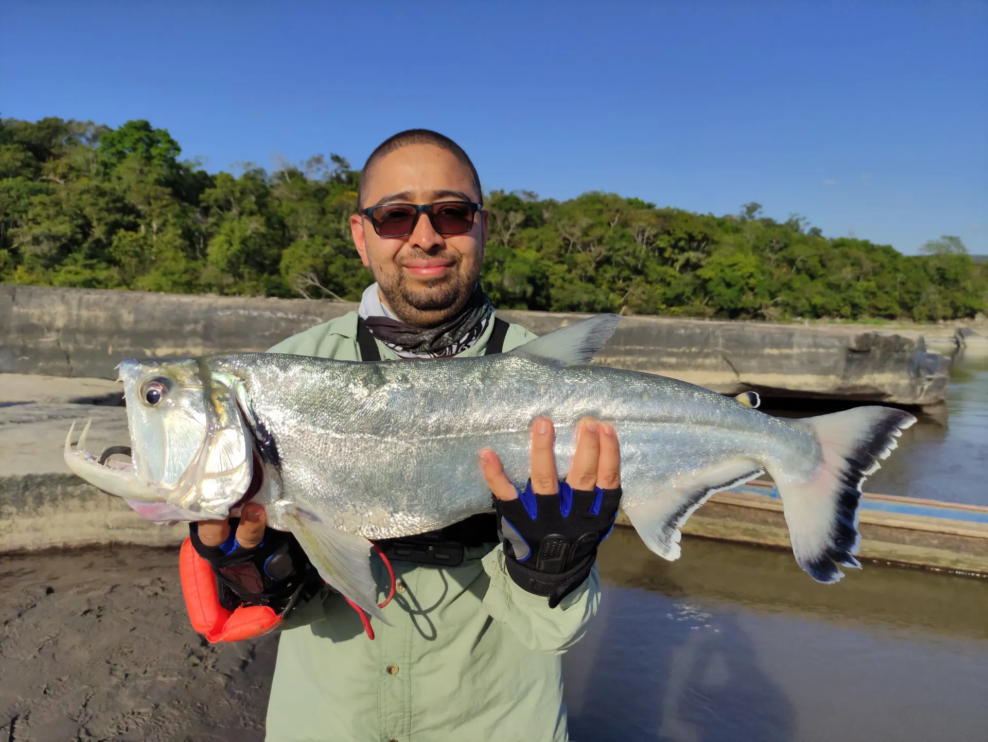 Un pescador sostiene otro payarín capturado en el caño afluente del Guayabero.