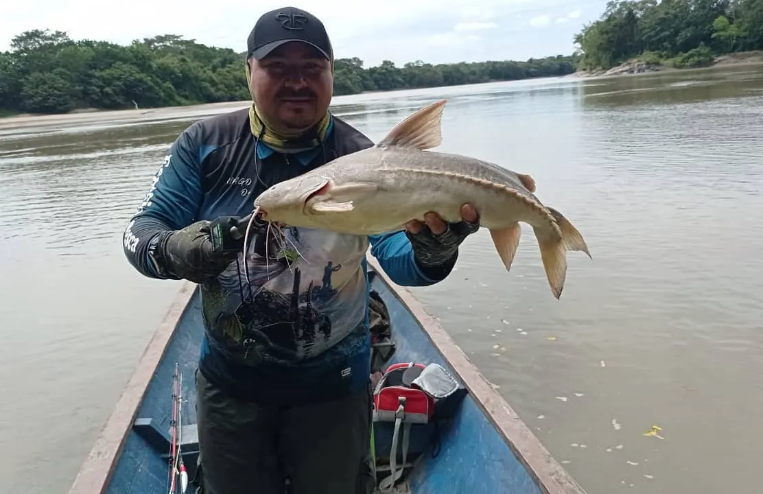 Un pescador del grupo sostiene una corvinata capturada en el río.
