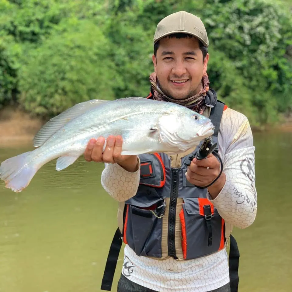Steven levanta un bagre amarillo capturado en el río Guayabero.