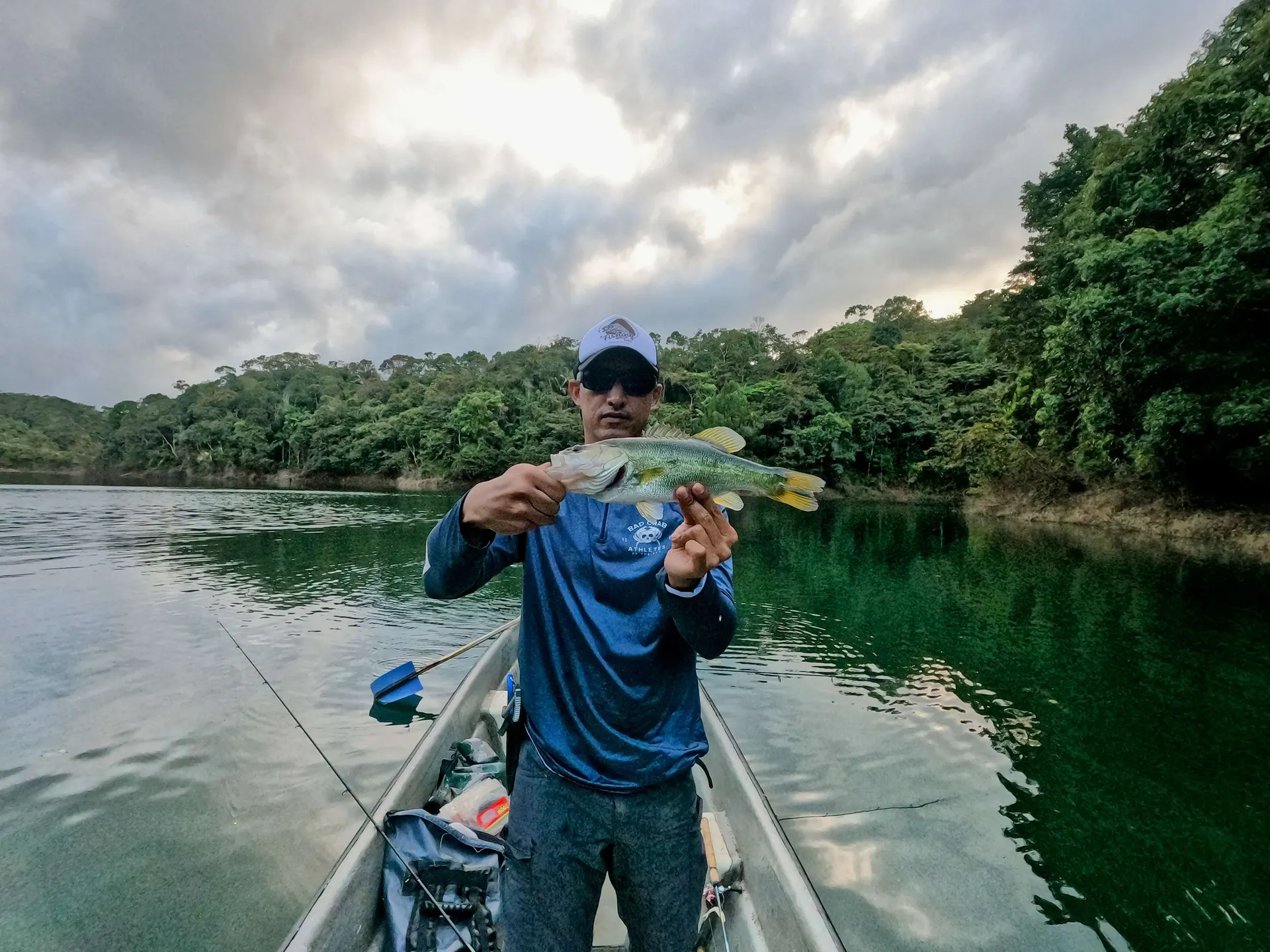 Una pequeña mojarra es sostenida con las dos manos, mostrando sus escamas plateadas.