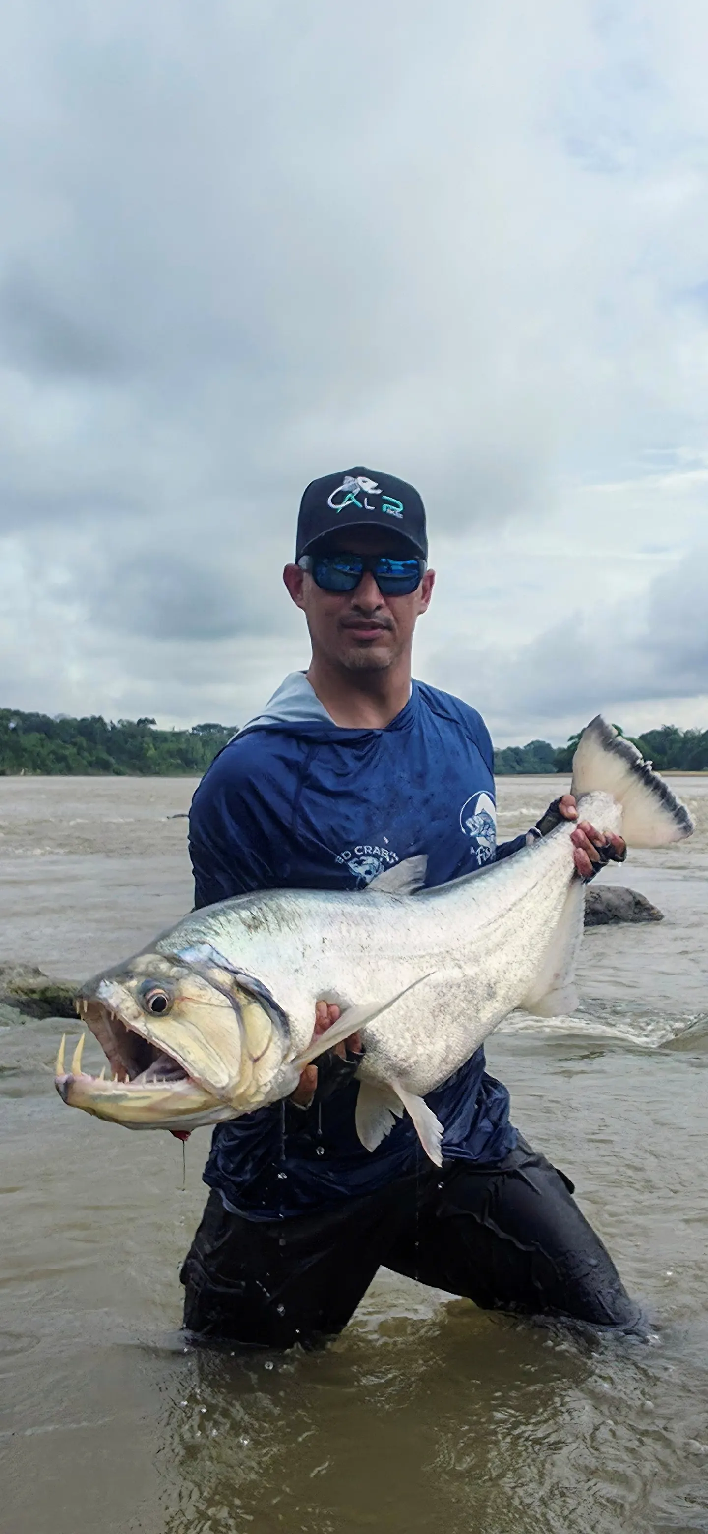 Un pescador de pie con el agua a las rodillas sostiene una payara grande y plateada, con los colmillos característicos a la vista, en un río de aguas turbias.