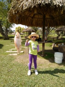 IMG_20141229_101916070