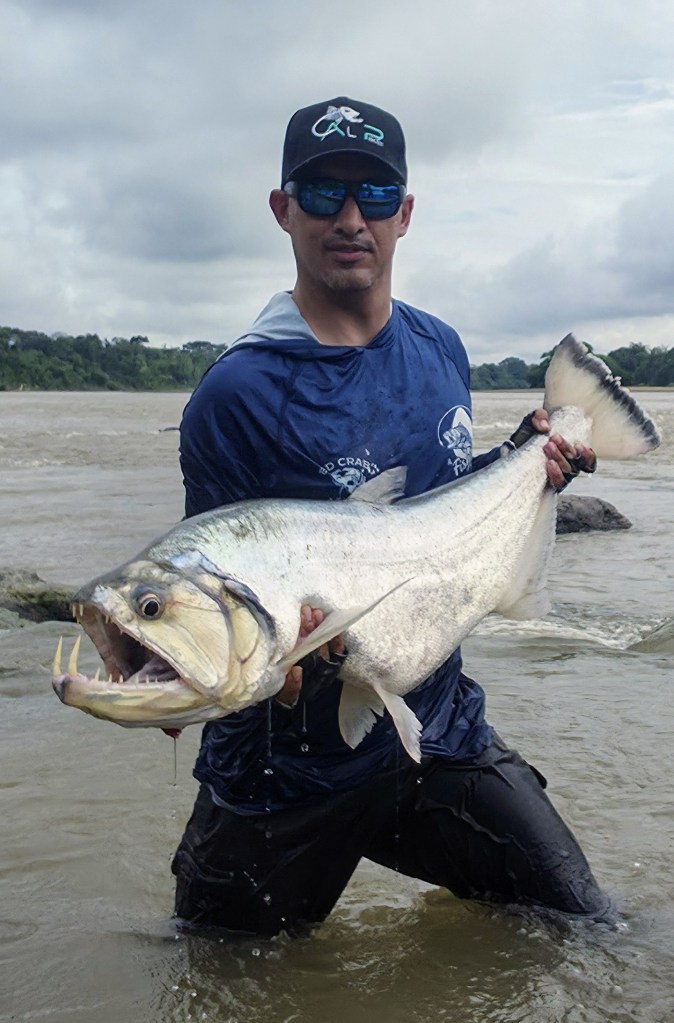 Un hombre sonriente sostiene un gran pez en un río, vestido con una camiseta de pesca y lentes de sol.